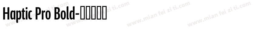 Haptic Pro Bold字体转换